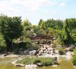 Jardin Botanique Dijon Best Of File Dijon Jardin Japonais 04 Wikimedia Mons