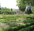 Jardin Botanique Dijon Inspirant File Dijon Jardin De L Arquebuse Jardin Botanique X05