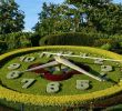 Jardin Botanique Geneve Charmant Le Jardin Anglais Geneva 2020 All You Need to Know