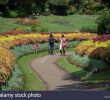 Jardin Botanique Kandy Beau Flower Garden Peradeniya Kandy Stock S & Flower Garden