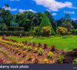 Jardin Botanique Kandy Charmant Flower Garden Peradeniya Kandy Stock S & Flower Garden