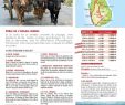 Jardin Botanique Kandy Élégant Brochure Adeo 2017 Calameo Downloader