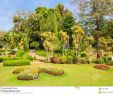 Jardin Botanique Kandy Élégant Jardin Botanico Peradeniya