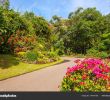 Jardin Botanique Kandy Luxe Jardin Botanico Peradeniya