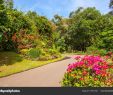 Jardin Botanique Kandy Luxe Jardin Botanico Peradeniya