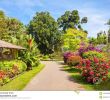 Jardin Botanique Kandy Unique Jardin Botanico Peradeniya