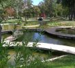 Jardin Botanique Lisbonne Beau Jardim Do Campo Grande Mario soares Garden Lisbon 2020