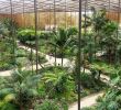 Jardin Botanique Lisbonne Charmant Estufa Fria Lisbonne 2020 Ce Qu Il Faut Savoir Pour