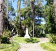 Jardin Botanique Lisbonne Charmant File Lisbon Botanical Garden 06 Jpg Wikimedia Mons