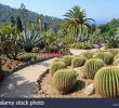 Jardin Botanique Marimurtra Beau Botanical Garden Jardi Botanic Mar I Murtra Marimurtra