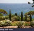 Jardin Botanique Marimurtra Beau south Coast Botanic Garden Stock S & south Coast