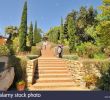 Jardin Botanique Marimurtra Élégant Jardi Botanic Stock S & Jardi Botanic Stock Alamy