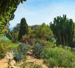 Jardin Botanique Marimurtra Élégant Summer In Botanical Garden Jardi Botanic Marimurtra On Mediterranean