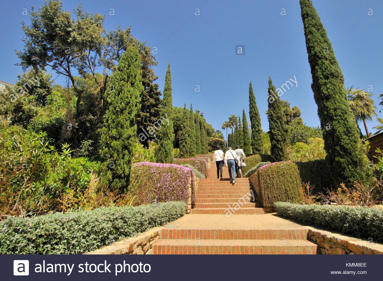 Jardin Botanique Marimurtra Frais Jardi Botanic Stock S & Jardi Botanic Stock Alamy