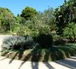 Jardin Botanique Marimurtra Inspirant BotaniÄka BaÅ¡ta Mar I Murtra Blanes