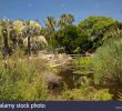 Jardin Botanique Marimurtra Nouveau Jardi Botanic Stock S & Jardi Botanic Stock Alamy