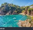 Jardin Botanique Marimurtra Nouveau View Gardens Marimurtra Sa forcanera Blanes Stock