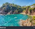 Jardin Botanique Marimurtra Nouveau View Gardens Marimurtra Sa forcanera Blanes Stock