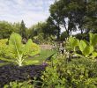 Jardin Botanique Montreal Charmant Montreal Botanical Gardens Visitors Guide