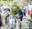 Jardin Botanique Montreal Frais Shopping at the Botanical Garden –  Nous Montréal