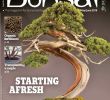 Jardin Botanique Nantes Beau E B I 2018 05 06 Downmagaz Bonsai