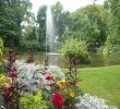 Jardin Botanique Nantes Beau File P Jardin Des Plantes Nantes Jpg Wikimedia Mons