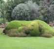 Jardin Botanique Nantes Beau Un Chien Dans Le Jardin Des Plantes De Nantes