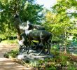 Jardin Botanique Nantes Charmant File Nantes Jardin Des Plantes Les Cerfs Au Repos 06