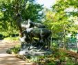 Jardin Botanique Nantes Charmant File Nantes Jardin Des Plantes Les Cerfs Au Repos 06