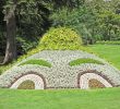 Jardin Botanique Nantes Frais File Le Jardin Des Plantes Nantes