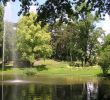 Jardin Botanique Nantes Génial Jardin Des Plantes De Nantes