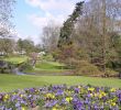 Jardin Botanique Nantes Luxe Eghn – Jardin Des Plantes