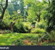 Jardin Botanique Nantes Luxe Jardin Des Plantes Botanical Garden Nantes Stock Edit