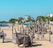 Jardin Botanique Nantes Nouveau Discover Saint Nazaire as A Family