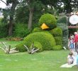 Jardin Botanique Nantes Nouveau File Jardin Des Plantes Nantes 2014 07 Le Massif Du