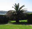 Jardin Botanique St Jean De Luz Beau Location Appartement Saint Jean De Luz 2 Personnes D¨s 420