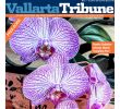 Jardin Botanique St Jean De Luz Best Of Vallarta Tribune issue 1179 November 07 13 2019 by