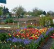 Jardin Botanique tourcoing Frais Jard­n Botánico De tourcoing La Enciclopedia Libre