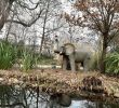 Jardin D Acclimatation Plan Beau Jardin D Acclimatation Paris 2020 All You Need to Know