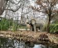 Jardin D Acclimatation Plan Beau Jardin D Acclimatation Paris 2020 All You Need to Know