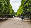 Jardin D Acclimatation Plan Nouveau the Jardin Des Tuileries In Paris A Royal Gem