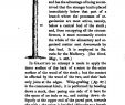 Jardin De Chine Rouen Nouveau Lindley John 1840 the theory Of Horticulture or An