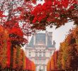 Jardin De Luxembourg Paris Frais Tuileries Garden In Paris