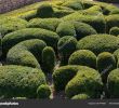 Jardin De Marqueyssac Beau topiary Gardens Jardins Marqueyssac Dordogne Region France