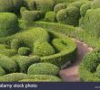 Jardin De Marqueyssac Nouveau topiary at the Chateau De Marqueyssac Dordogne France Stock