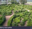 Jardin De Marqueyssac Nouveau topiary at the Chateau De Marqueyssac Dordogne France Stock