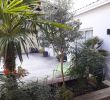 Jardin Des Fleurs Bordeaux Beau Herbes Fauves Fleuriste Bordeaux Paysagiste Terrasse Jardin