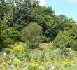 Jardin Des Plantes Caen Beau Jardin Des Plantes De Caen