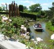 Jardin Des Plantes D Angers Beau Le Végétal Dans toute Sa Splendeur Terra Botanica