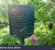 Jardin Des Plantes D Angers Élégant Auteur Obscur S & Auteur Obscur Alamy